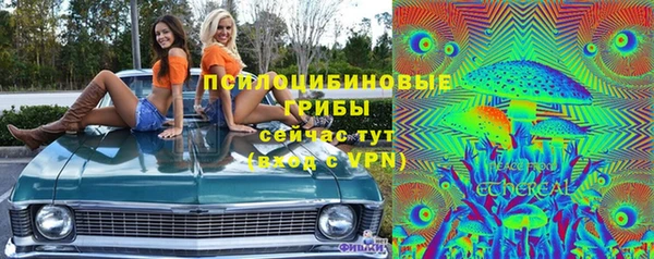 прущие грибы Белокуриха